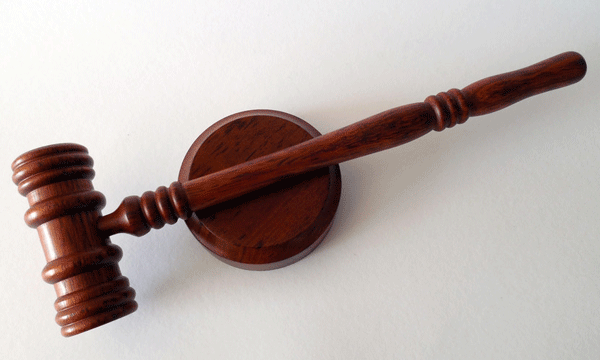 侦查阶段会见犯罪嫌疑人能干什么